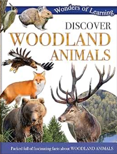 Discover Woodland Animals